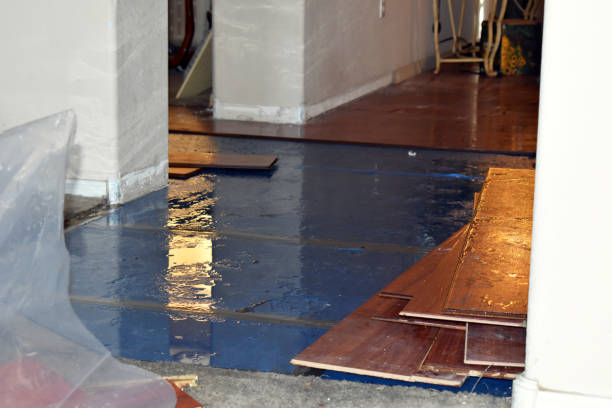 Professional Burst Pipe Cleanup technician working in Douglas, MI
